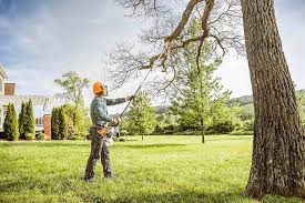 Best Hazardous Tree Removal  in Thorntown, IN